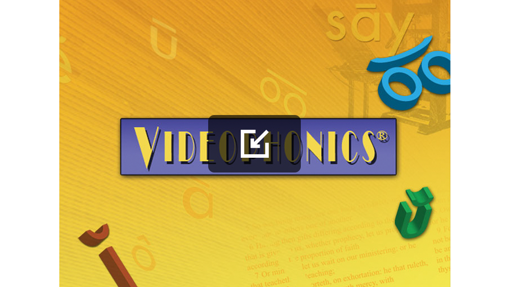 Videophonics