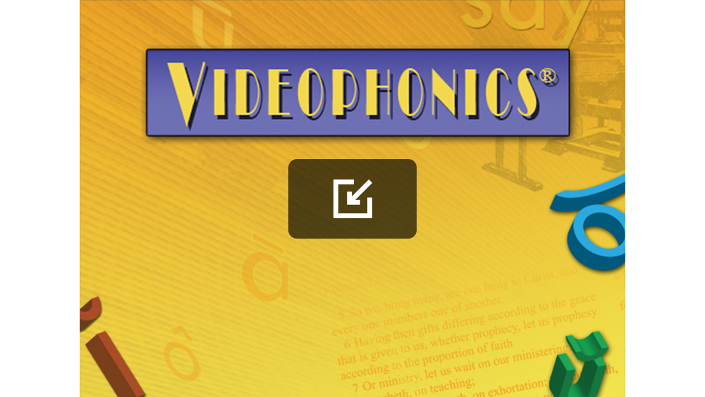 Videophonics